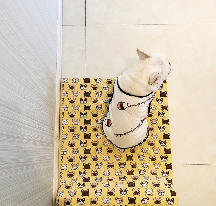 ブランド 犬シャツ 網目