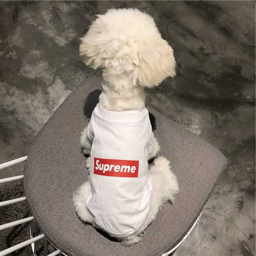 supreme犬パーカー ホワイト