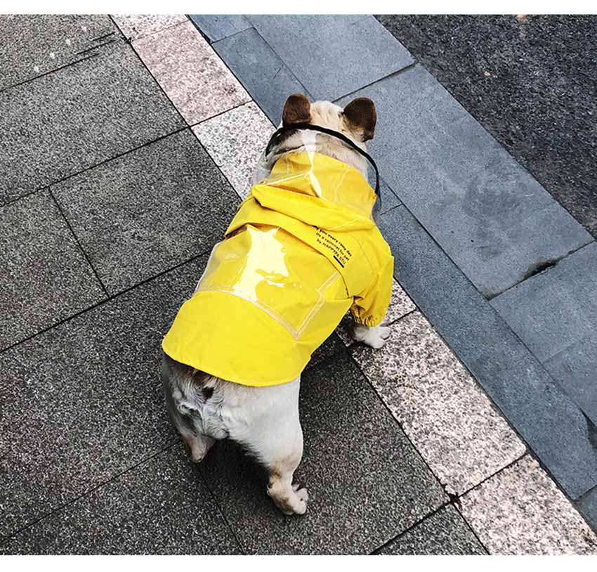 高品質 レインコート 犬用 ドッグウェア ペット用レインコート 折り畳み お出かけ 犬用雨具