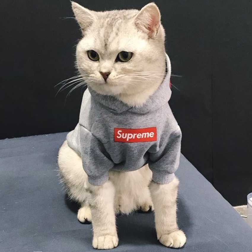 SUPREME 犬の服 防寒