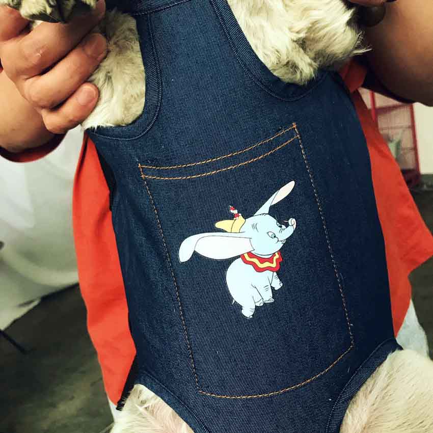 抱っことおんぶ兼用バッグ 犬
