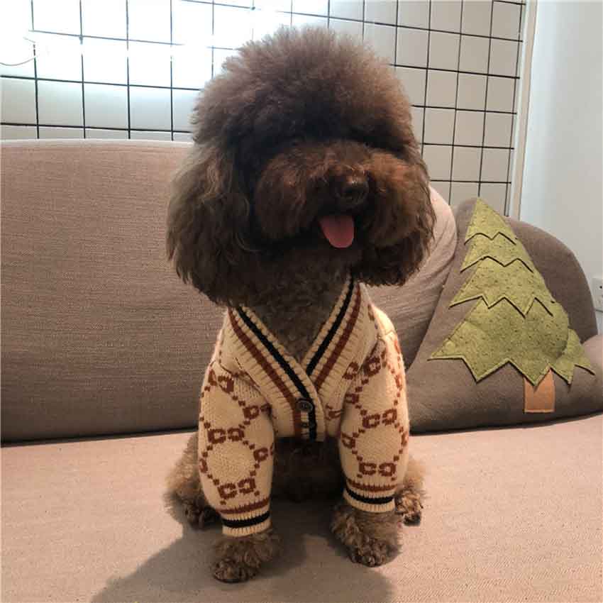 Ccマーク 犬服 ニットセーター トレーナー グッチ風 ドッグウェア かわいい おしゃれ 秋冬着