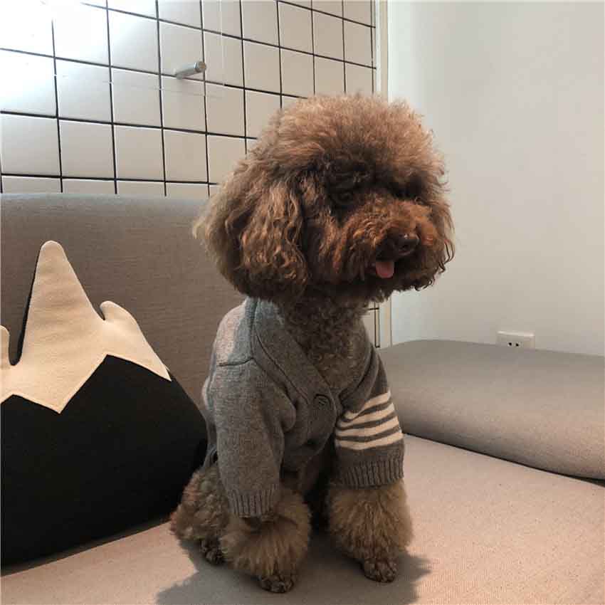 トムブラウン 犬服 ニットセーター