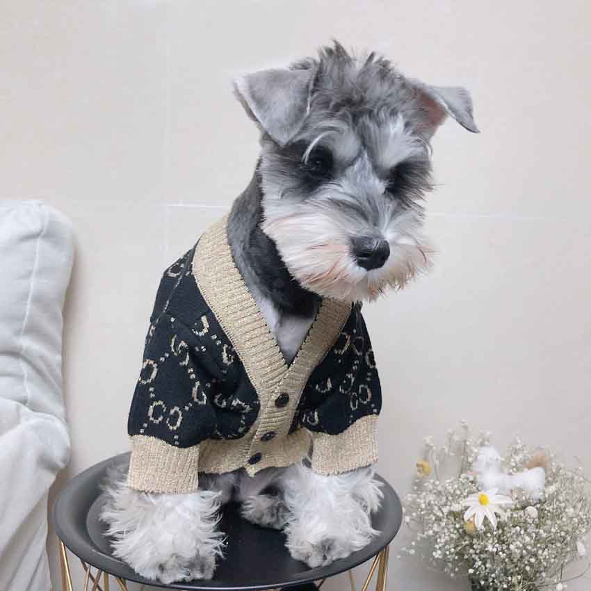 GUCCI 犬ニットセーター かわいい