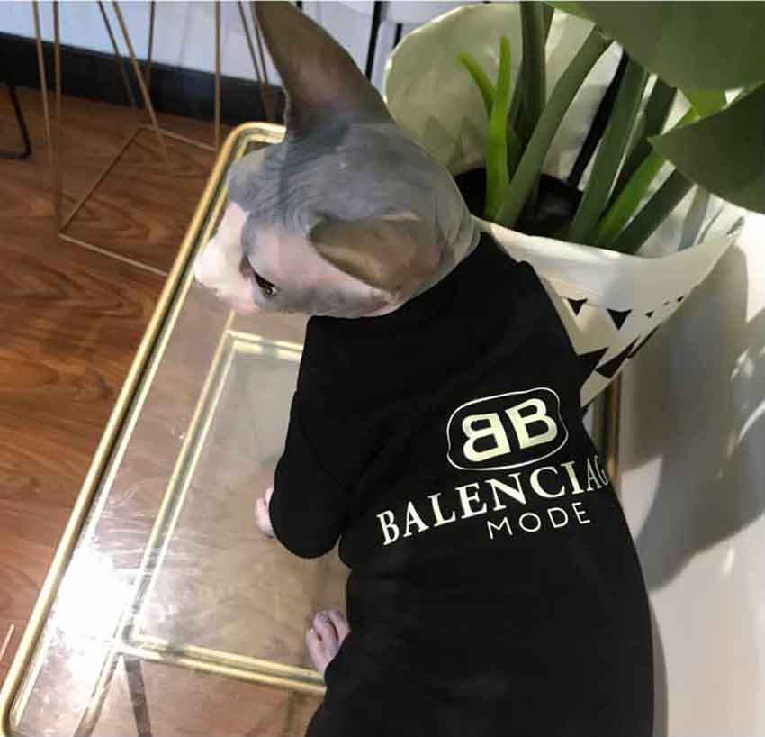 バレンシアガ ペット用服 猫シャツ