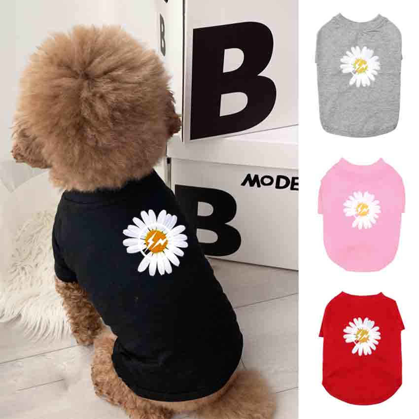 グッチ 犬服 ペットウェア ミッキーマウス Supreme 犬パーカー 夏モデル Storezakaのblog グッチ 犬服 ペットウェア ミッキーマウス Supreme 犬パーカー 夏モデル Storezakaのblog