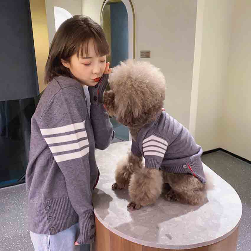 犬と親子服 ニットセーター トム