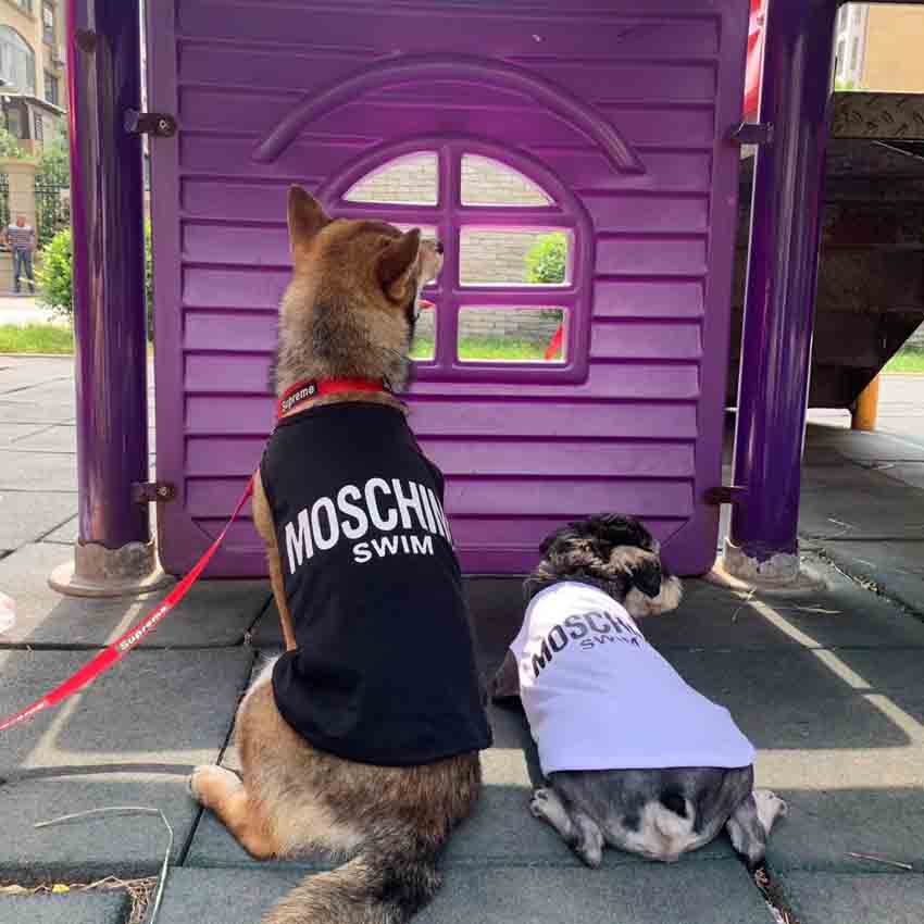 Moschino 犬 服 シャツ