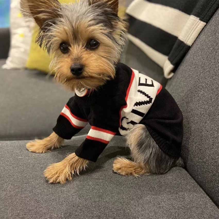 Givenchy 犬 服 ニットセーター