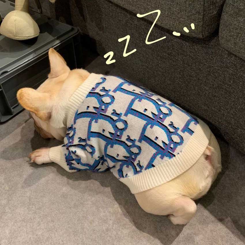 犬ニットセーター 高級 Dior