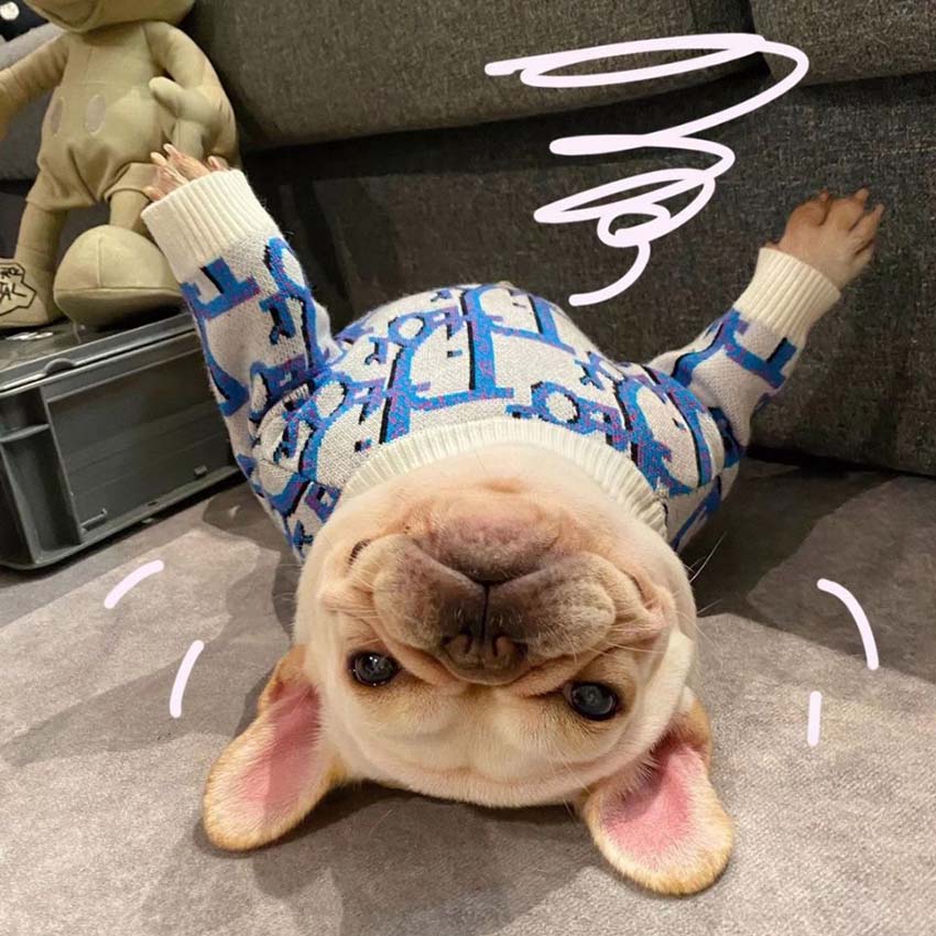 Dior 犬着プルオーバー オシャレ
