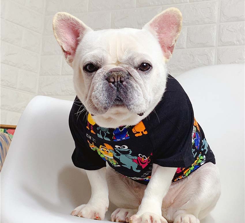 セサミストリート 犬服 かわいい ペットの服 Sesame Street ドッグウェア Tシャツ パロディー洋服 ストリート系