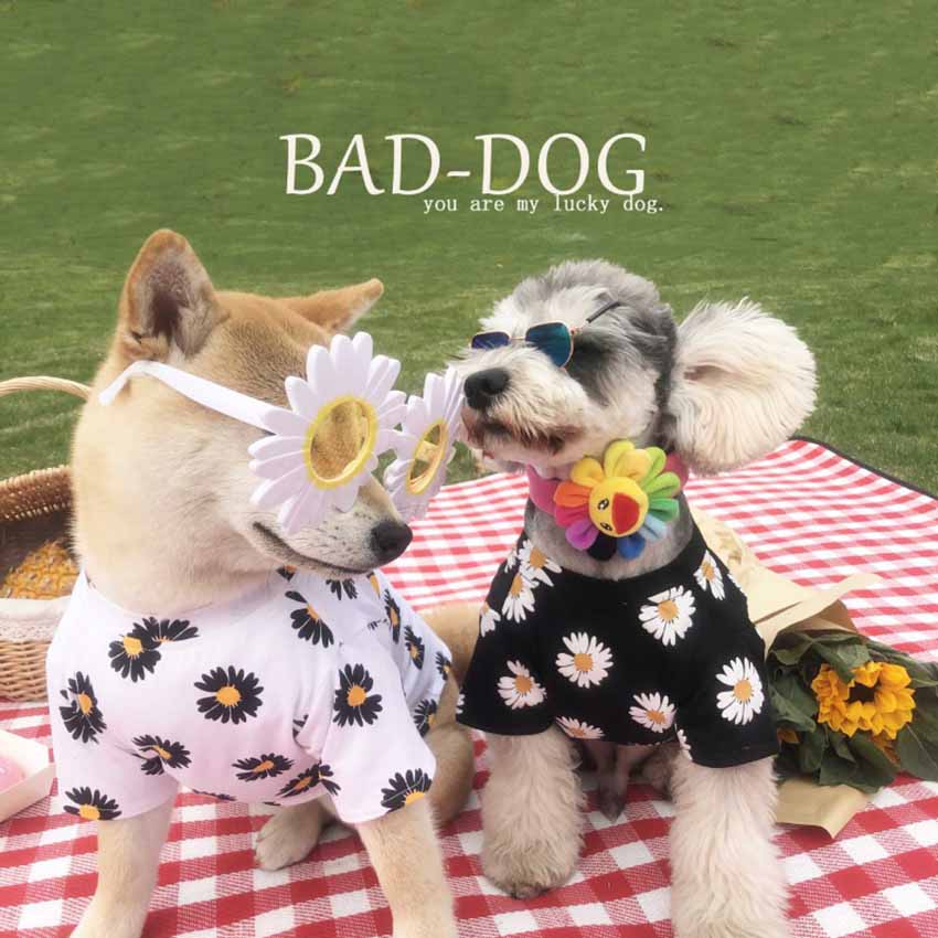ピースマイナスワン 犬の服 かわいい ペット用のtシャツ Peaceminusone ペットウェア G Dragon ドッグ洋服 ピースマイナスワン 犬の服 かわいい ペット用のtシャツ Peaceminusone ペットウェア G Dragon ドッグ洋服