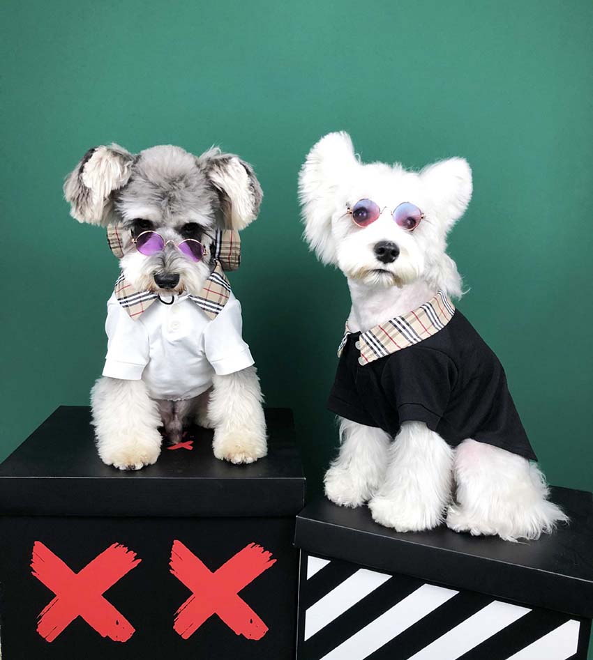 バーバリー 犬のtシャツ 可愛い チェック柄 プルオーバーパーカー ペットウェア 高品質 ドッグ洋服 バーバリー 犬のtシャツ 可愛い チェック柄 プルオーバーパーカー ペットウェア 高品質 ドッグ洋服