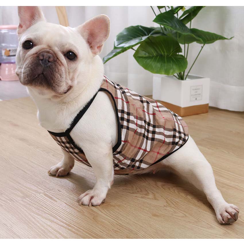 超かわいい 犬の服 バーバリー