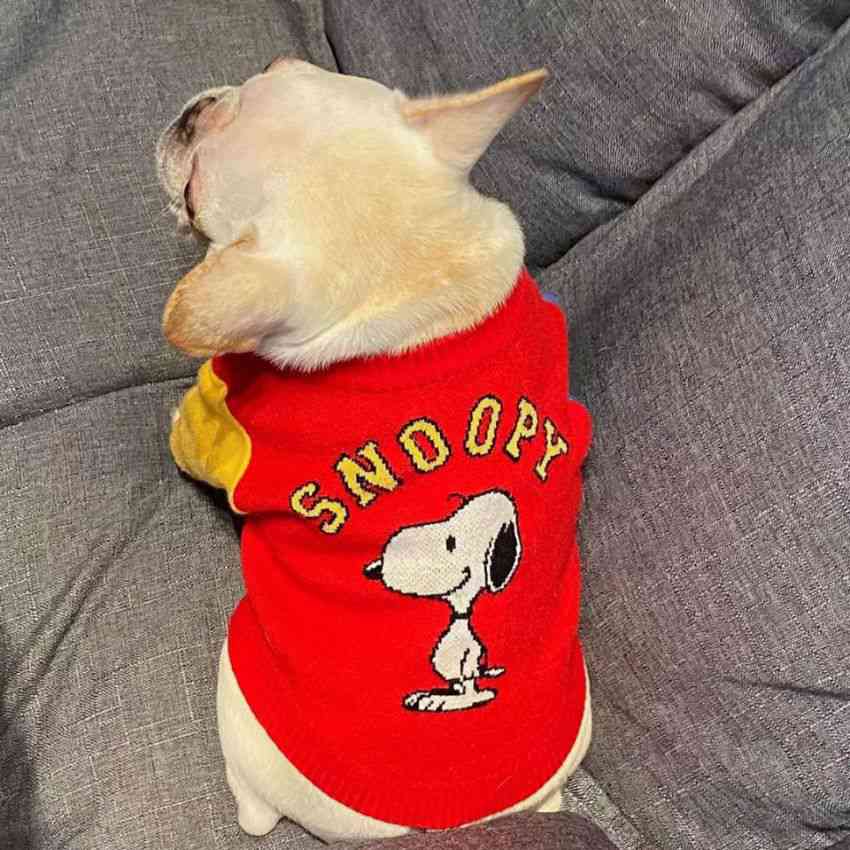 スヌーピー犬服ニットセーター 可愛い