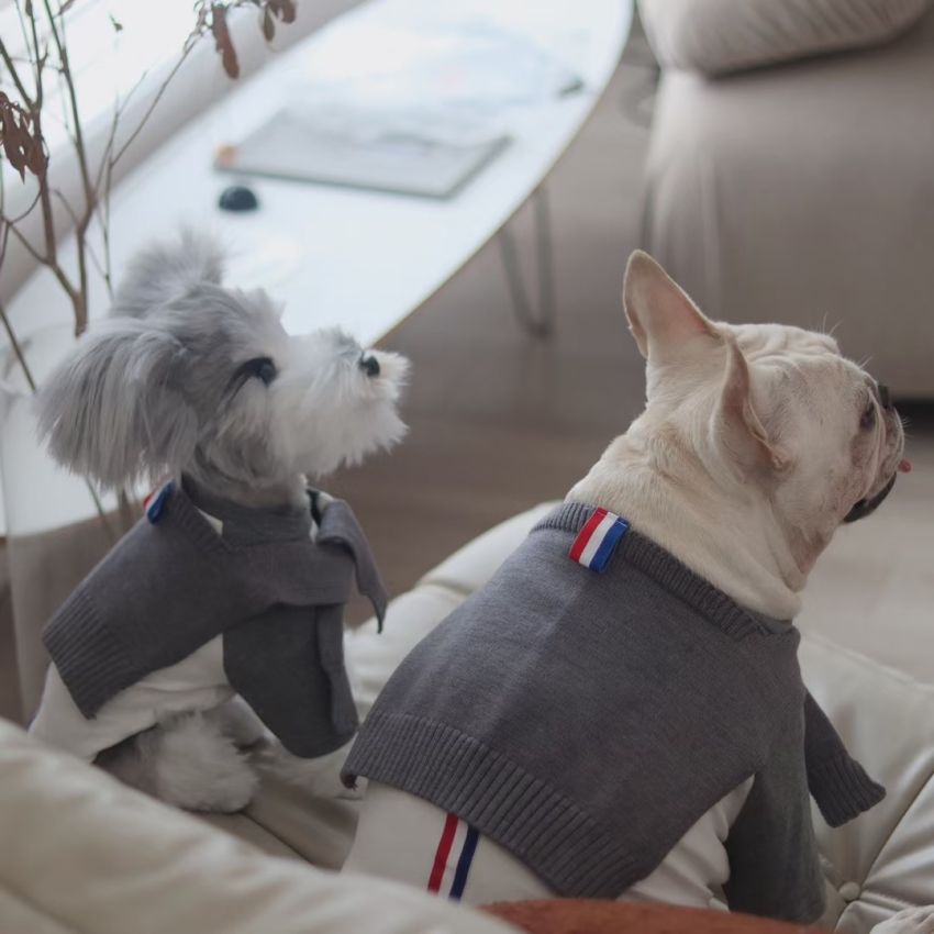 トムブラウン 犬服 防寒対策