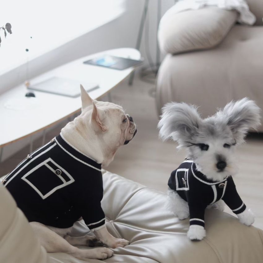 小香風 犬服 ニットセーター