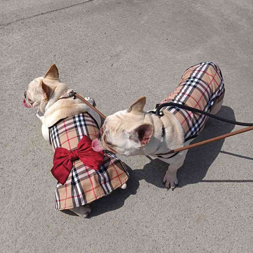 バーバリー 犬服 スカート