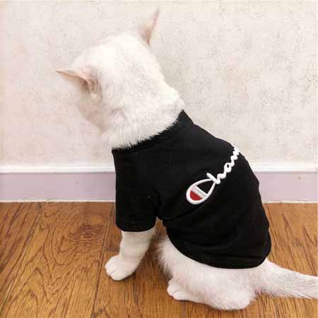 猫服 Champion 人気 ペット服 Tシャツ チャンピオ ペットウェア おしゃれ ボックスロゴtシャツ