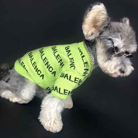 BALENCIAGA ニットセーター 暖かい ペット服 おしゃれ バレンシアガ 犬 ...