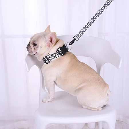 犬用品 フェンディ 犬の首輪 リード ハーネス 高品質 FENDI ペット牽引 
