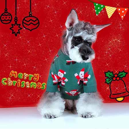 可愛い ペットの服 犬ニットセーター クリスマス 雰囲気 犬 服 冬 ミニチュア シュナウザー服 ワンちゃん服 トナカイ
